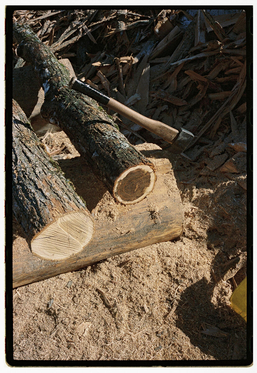 Film photograph of a freshly cut log and an axe resting on a chopping block, sawdust and split wood scattered across the ground in warm daylight