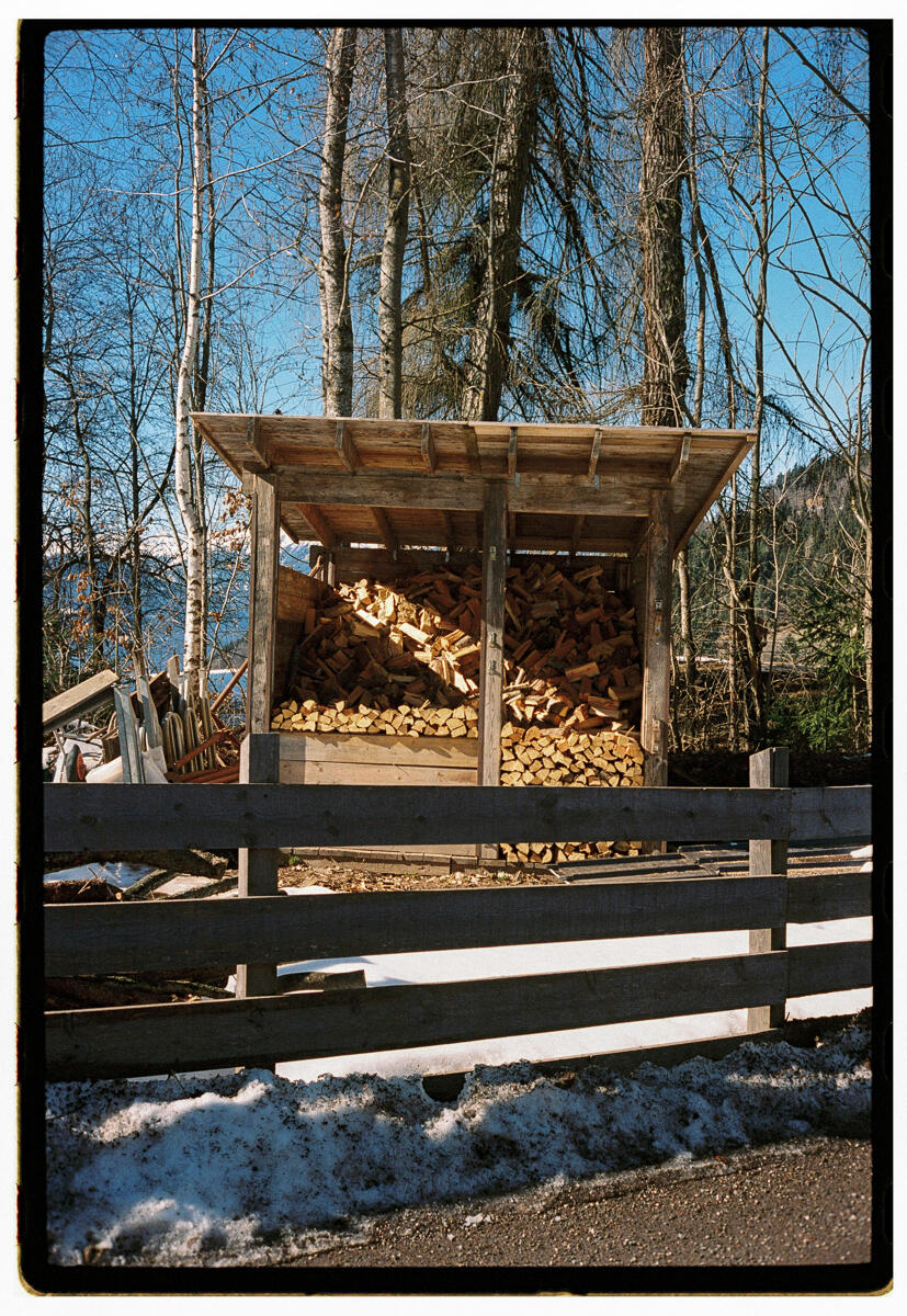 Film photograph of a wooden firewood storage shed packed with split logs, bare trees and a mountain behind it, remnants of snow on the ground in winter sunlight